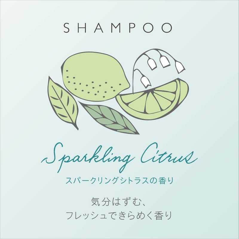 andand fun sparkling citrus scent shampoo pump 480ml