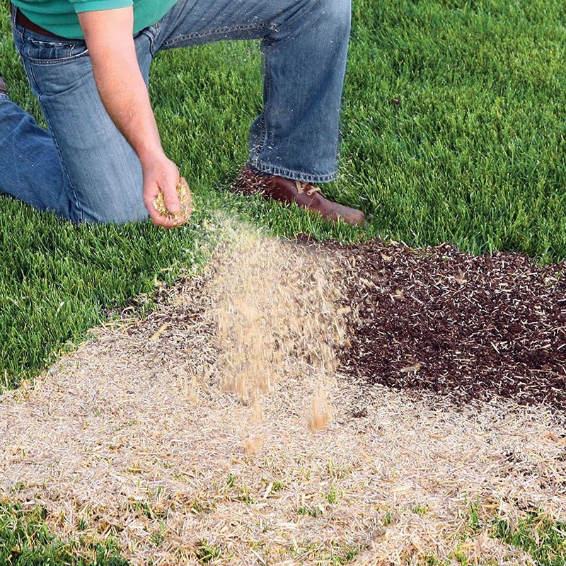 EZ Straw Lawn Repair Mix – Sun/Shade Blend – Combination