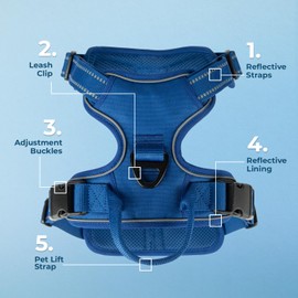 Voyager Dog Harness Dual Leash Attachment No-Pull Control Adjustable Soft but Strong Pet Harness for Medium and Large Dogs with 3M Reflective Technology, Royal Blue Lattice Nylon, M (Chest: 20-25")