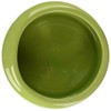 Living World Ergonomic Dish, Green, Large