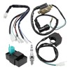 Hoypeyfiy 5 Wiring Loom Kill Switch Coil CDI Spark Plug