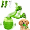 Smart Interactive Dog Toy Ball with Rope, USB Rechargeable Automatic