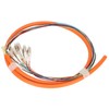 Fiber Pigtail 12 Strand Multimode Stable Fiber Pigtail Cable for