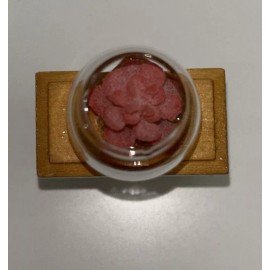 Unbranded 1:12 Dollhouse Glass Jar Succulent Plants In Pot Decoration Home Miniature