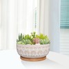 Eightpot 8 Inch Ceramic Succulent Planter Pot with Drainage Hole