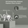 Auriga Fine Jewelry 925 Sterling Silver Antiqued Elephant Charm Pendant