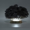 Feather Table Lamp Stepless Dimming USB Charging Touch Control LED