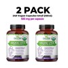Zazzee Organic Vitex, 2 PACK, 500 mg, 120 Vegan Capsules