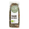 teeverliebt - Organic Green Tea Sencha Dream of the South
