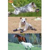 Muttluks Mad Monsters Dog Shoes, Easy to Put On Walks,