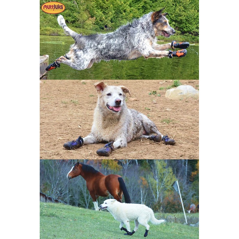 Muttluks Mad Monsters Dog Shoes, Easy to Put On Walks,
