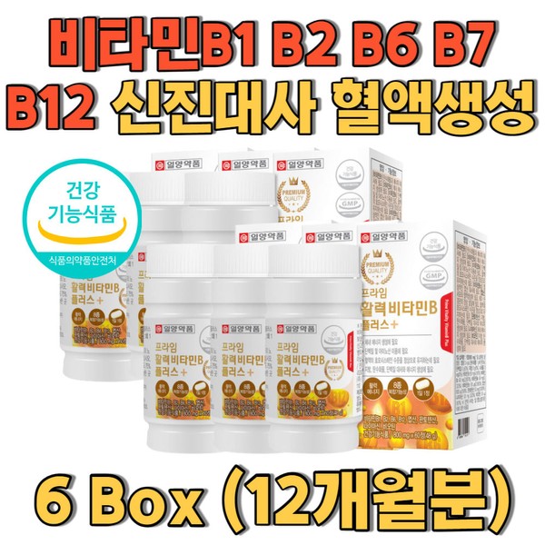 Vitamin H Vitamin B1 B2 B6 B7 B12 Vitamin B group metabolism / 비타민H 비타민B1 B2 B6 B7 B12 비타민B군 신진대사