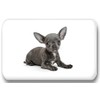 Merchandise for Fans Chihuahua 01 Rectangular Fridge Magnets 5.8 x