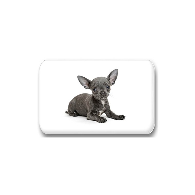 Merchandise for Fans Chihuahua 01 Rectangular Fridge Magnets 5.8 x