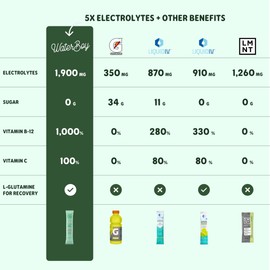 Waterboy Workout Hydration | 2,960mg Sugar Free Electrolyte Powder Packets | L-Glutamine + Vitamins | No Sugar, All Natural, Gluten Free (Variety)