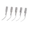 5pcs P1 Dental Clean Machine Tip Stainless Steel Heat Resistance