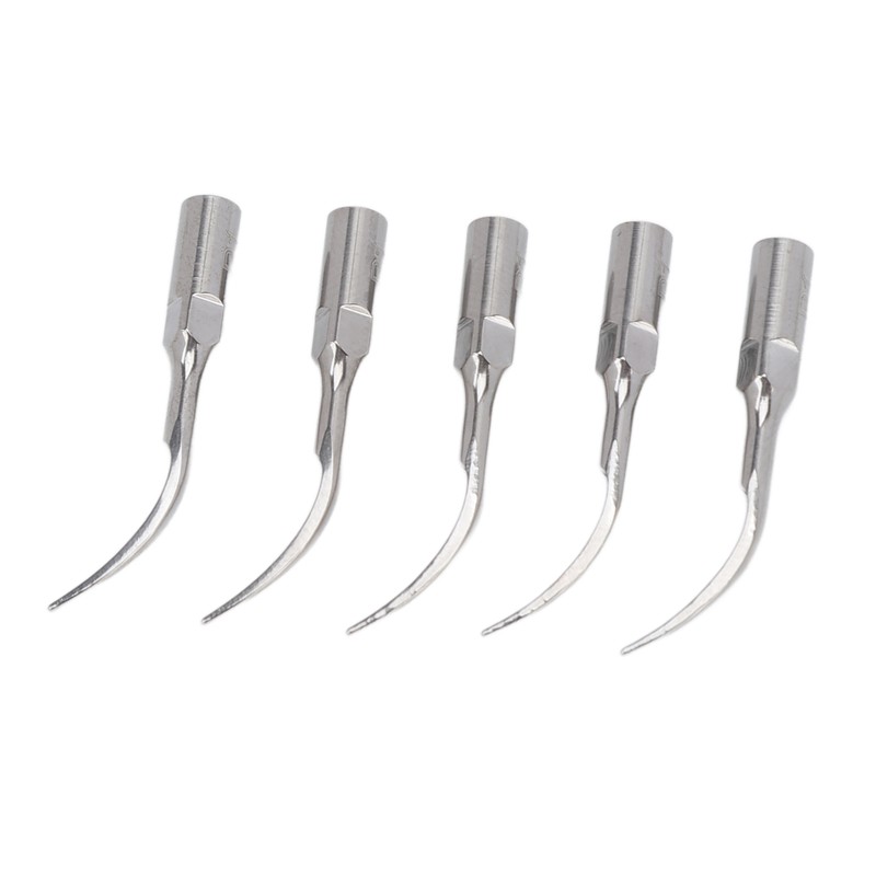 5pcs P1 Dental Clean Machine Tip Stainless Steel Heat Resistance
