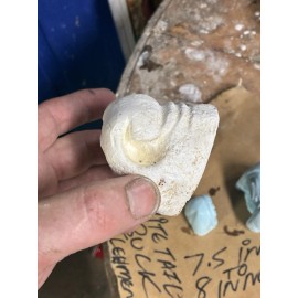 GLORIOSO WILDLIFE MOUNTS TAXIDERMY FLEHMEN WHITETAIL DEER MOUTH PIECE SET XL HIGH DEFINITION SERIES