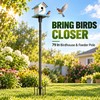 79 Inch Bird Feeder Pole, Heavy Duty 1 Inch Metal