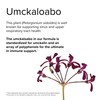 Terry Naturally Andrographis EP80 with Umckaloabo - 60 Capsules -