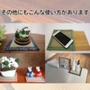 Ooshimaya Grass Tatami Mat, 4-Piece Set (Approx. 6.3 x 6.3