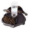 QIODAZOO Bowls for Reptiles, Turtles, Water Bowl, 2-in-1 Automatic Feeder,