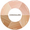 Burt's Bees Concealer (Tan)