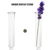 Garneck 4 Pcs Test Tube Hydroponics Vases Test Tube Vase
