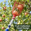 Fruit Picker Tool for Harvesting Apples and Peaches – High-Reach