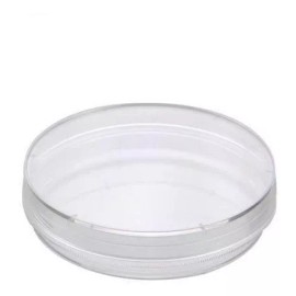 Plastic World Caja Petri Plastico Estéril 100x15 Desechables 20 Pzs