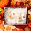 AimFun 2Pcs Pumpkin Icon Juice Glasses Fall Handblown Cocktail Glass