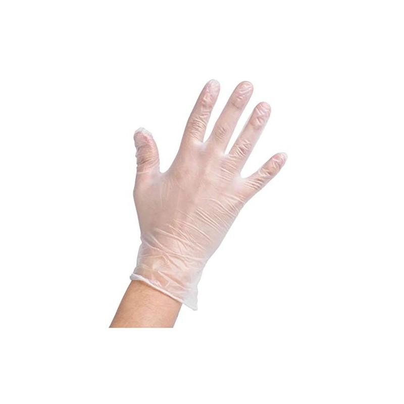 Vinyl Gloves Disposable Powder Free, 200 Gloves, 2 Boxes of