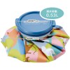 Skater ICB1-A Ice Bag S Ice Bag Hyo Moomin Anime,