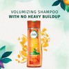 Herbal Essences Body Envy Volumizing Shampoo 10.1 oz