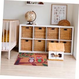 Ciieeo 1Pc Chic Owl Pattern Non Slip Entrance Mat Floor Pad for Bedroom Home Entry Absorbent Easy Clean Design Housewarming Present