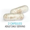 Silver Fern Ultimate Probiotic Supplement Vegicaps - Daily Metabolic Restoration,