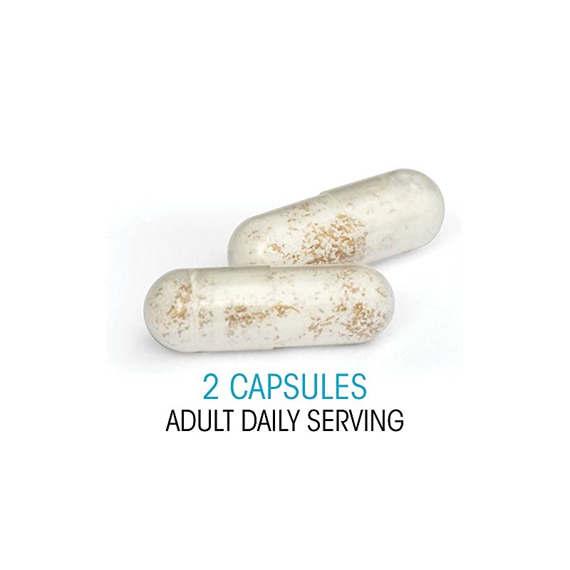Silver Fern Ultimate Probiotic Supplement Vegicaps - Daily Metabolic Restoration,