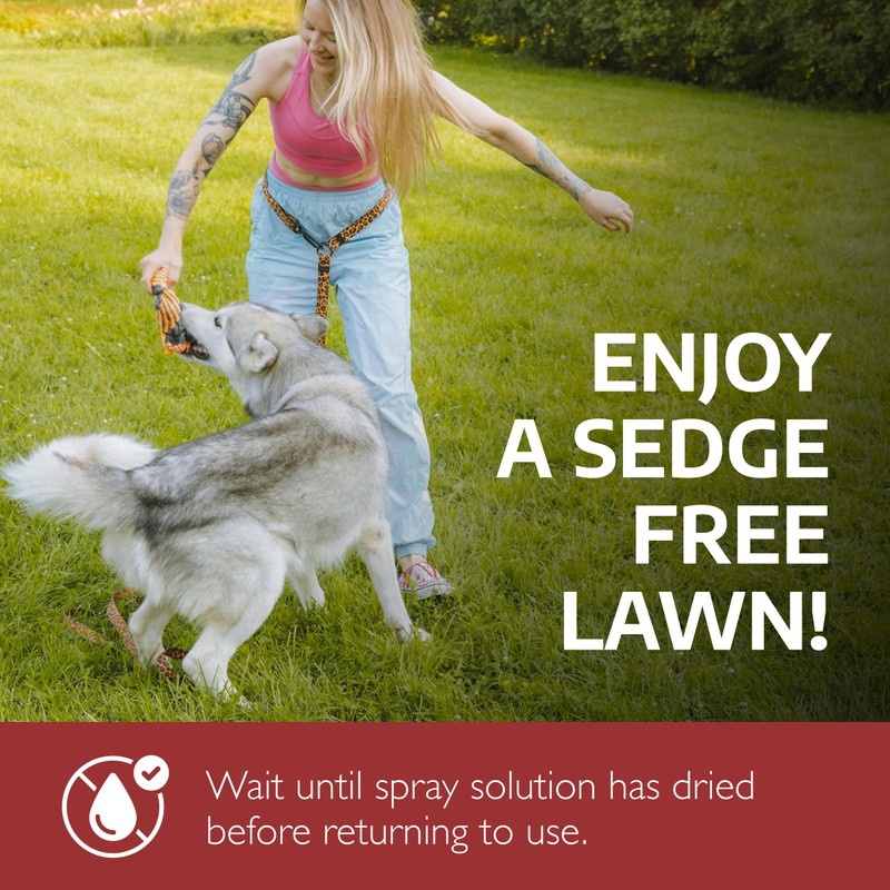 Sedgehammer Plus Turf Herbicide - 4 Pack of 13.5 Gram