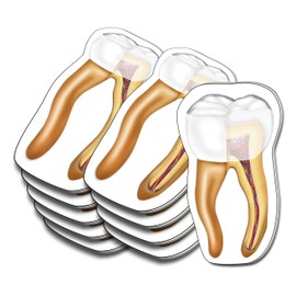 Tooth Sticky Note 10 Pack, Paper Count 100