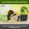 Organic Fine Vermiculite for Indoor Gardening Plants and Mushrooms –