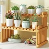 Table Top Bamboo Plant Stand Desktop Flower Shelf Rack for