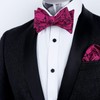 Alizeal Men Self-tied Paisley Bow Tie and Pocket Square Set,