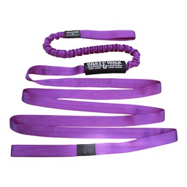 Boat Lines & Dock Ties Sand Anchor Tie Off Strap with Bungee - Made in USA (Purple, 15 Feet)