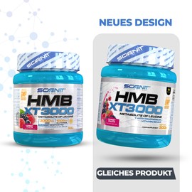 HMB XT 3000 - HMB Supplement - HMB Powder - 3000 mg HMB Powder with Flavour - with Glutamine, Magnesium, Vitamin B6 and Vitamin D - Forest Fruits Flavour