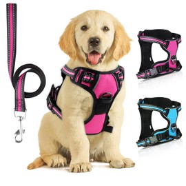 SIBOTER Dog Harness with Dog Lead, Reflective Dog Harness for Small Dogs, with Easy Control Handle and Back, Perfect for Outdoor Walks (S, Pink)