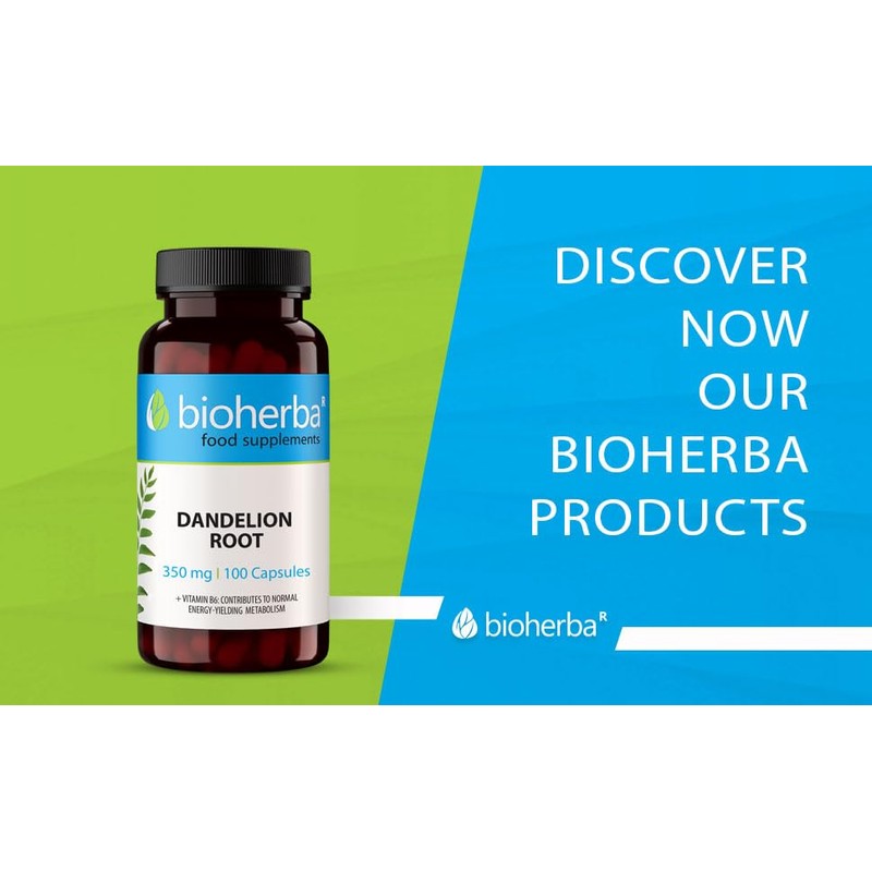 BIOHERBA Dandelion Root 350 mg C 100 Capsules | Traditional