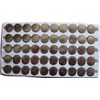 Gernal New 50 X AG13 LR44 357 SR44SW A76 Button Cell Battery in Tray FBA