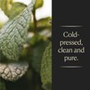 Cook's, Spearmint Extract for Baking, Candies, Chocolates, Tea, Beverages, 4