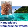 Dried Sea Moss (16 Oz (pack of one)) - Caribbean