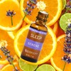 Sleep - 100% Pure Essential Oil - Size: 10 mL